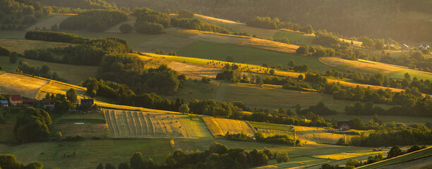 Landscape of the foothills near Nowy Sacz in Poland reminiscent of Italian Tuscany - obrazy, fototapety, plakaty