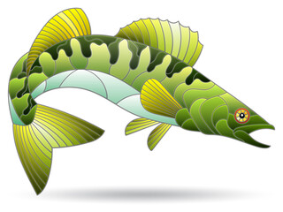 Illustration in the style of a stained glass window with a bright pike perch fish, an animal isolated on a white background