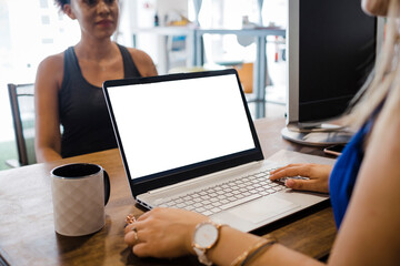Nutritionist using laptop discussing with customer at desk in office