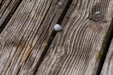 Small balls of hail, ice and hailstones from the sky on an old wooden table on a sunny day. Summer.