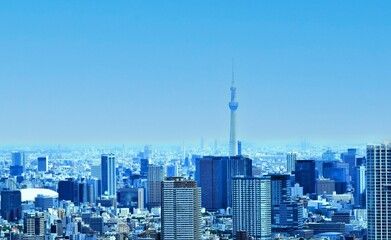 東京の町並みと東京スカイツリーとビル群、日本の首都

