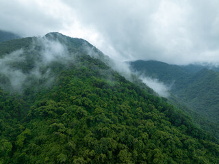 Aerial view of beautiful forest mountain landscape