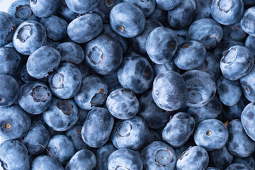 Image of blueberries from above, close up.