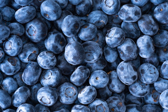 Image of blueberries from above, close up.