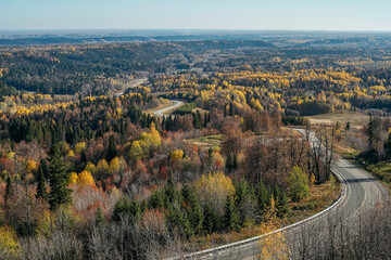 Fototapeta na wymiar Aerial view of road, colorful forest in autumn.