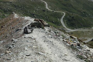 rando au pied du Cervin