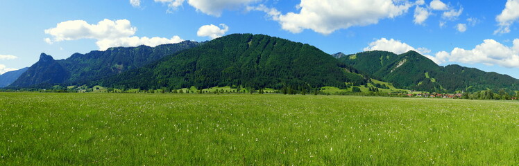Fototapeta na wymiar Panorama von Feuchtwiese im Ammergau mit Wald und Bergen unter blauem Himmel mit weißen Wolken