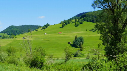 grüner Berghang im Ammergau mit Wiese, Wald und Hütten unter blauem Himmel