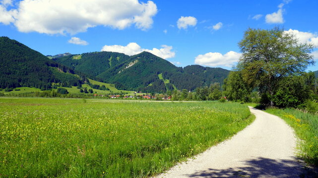 Wiesen, Wald und Berge im Ammergau mit Radweg unter blauem Himmel mit weißen Wolken