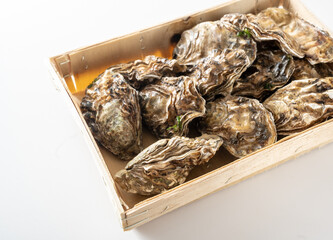 Fresh oysters in a wooden box from the fish market on a white background, selected focus