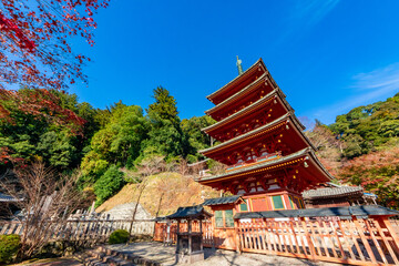 Fototapeta na wymiar 秋の奈良県・長谷寺で見た、五重塔周辺の紅葉と快晴の青空