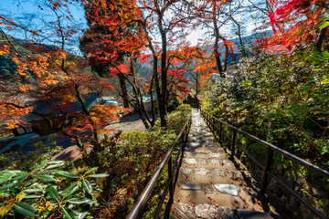 Fototapeta na wymiar 秋の奈良県・長谷寺で見た、太陽に照らされる紅葉と背景の青空