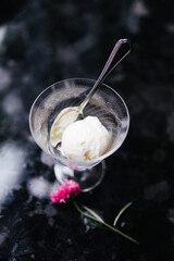 a serving of delicious white ice cream