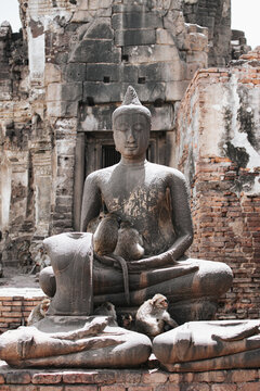 Vertical image of cute monkeys sitting avoid the sun under the ancient Buddha statue.