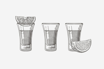 Set of hand-drawn shot glasses with tequila and lime slices. Design element for the menu of bars and restaurants, alcohol stores. Vector illustration in engraving style. © KOSIM