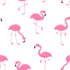 Cute pink flamingo on white background. Vector seamless pattern with cartoon tropical birds in different poses.