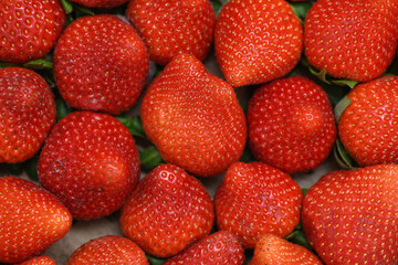 Juicy and healthy strawberries filling the frame, with focus on the popping color of the shiny skin and the texture of the porous seeds or achenes, very popular fruit for distinctive aroma and taste