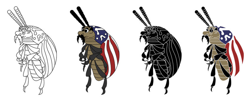 Colorado Beetle Set. Stock Vector Illustrations