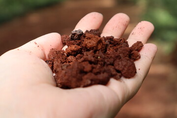 volcanic cone/ 화산송이