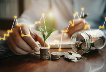 Hand with tree growing from pile of coins, concept for business, innovation, growth and money.
