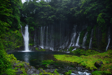 Obraz premium 富士山麓の白糸の滝