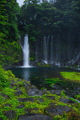 Obraz premium 富士山麓の白糸の滝