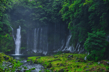 富士山麓の白糸の滝