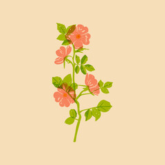 Wild rose. Colorful cute screen printing effect. Riso print effect. Vector illustration. Graphic element  for fabric, textile, clothing, wrapping paper, wallpaper