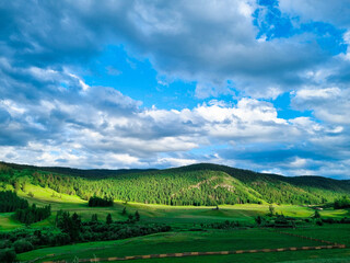 Fototapeta na wymiar landscape with vineyard and blue sky