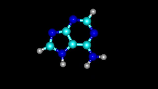 Adenine molecule rotating video Full HD