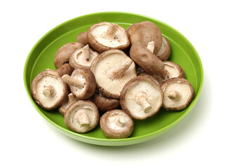 Shiitake mushroom on the White background 