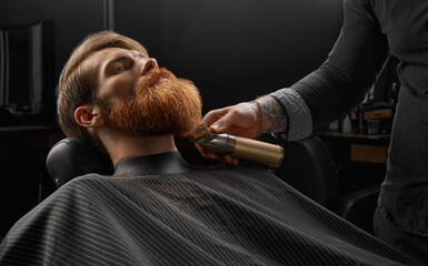 Professional barber cutting beard of pleasant young bearded man