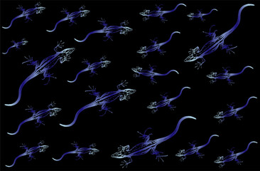 A bunch of lizards scattered on a black background	
