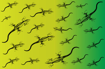 A bunch of lizards scattered on a black background