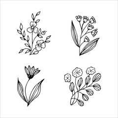 set of hand drawn doodle plant elements for floral design concept