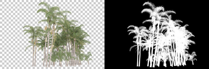 Naklejka premium Tropical forest isolated on background with mask. 3d rendering - illustration