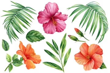 Foto op Plexiglas Hibiscus set, isolated white background, watercolor illustration, tropical flower and palm leaves © Hanna