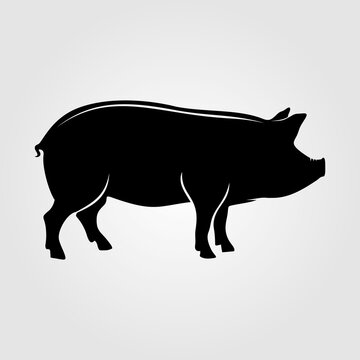 Pig silhouette isolated on white background. Vector illustration	