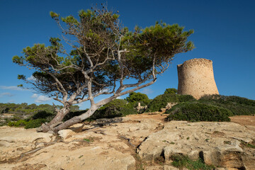 tower of Cala Pi, sixteenth century, used to defend the entrance to the bay, cala Pi, Mallorca,...