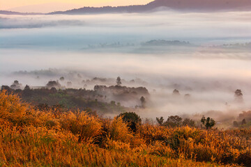 Landscape of the mountains and field with fog on sunrise