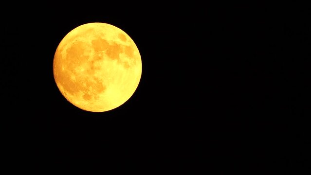 Glowing yellow huge full moon as seen from earth through the clouds against starry night sky. Large full moon moves across the sky, moon makes its way from bottom left frame to top right.
