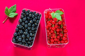 Fresh ripe red and black currant berries in plastic containers on a red surface
