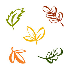 Fototapeta na wymiar Autumn leaves set. Fall leaf nature icons over white background. Nature floral symbol collection