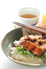 Japanese summer gourmet, grilled eel on rice with copy space