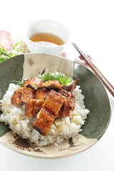 Japanese summer gourmet, grilled eel on rice with copy space
