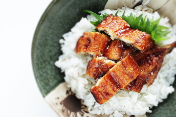 Japanese summer gourmet, grilled eel on rice with copy space