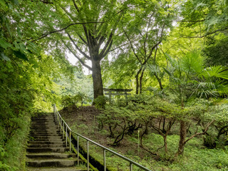 山奥の鳥居