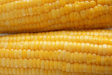 Summer boiled sweet corn, on bamboo basket for healthy food image