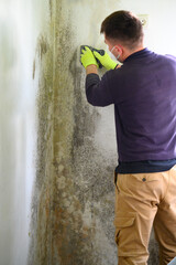 The man uses a spatula to remove mold and fungus on the wall.