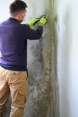 The man uses a spatula to remove mold and fungus on the wall.
